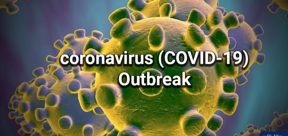 Michigan response to Coronavirus 2019 (COVID-19) outbreak