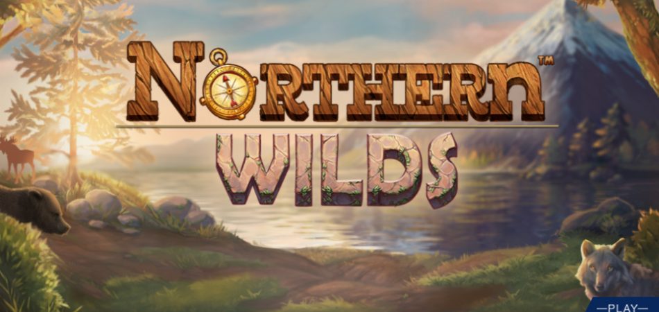 The New online game - Northern Wilds game logo